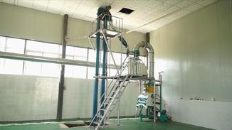 四川德昌核桃，菜籽，茶籽綜合加工生產(chǎn)線